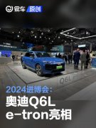 2024进博会：奥迪Q6L，e-tron亮相