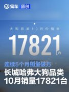 长城哈弗大狗品类10月销量17821台，连续5个月销量破万