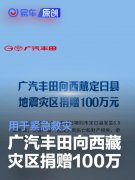 广汽丰田向西藏定日县地震灾区捐赠100万元